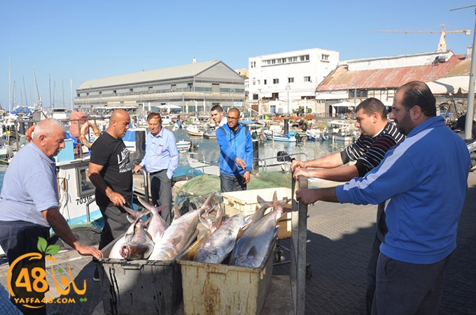 samak antayasa (25).JPG